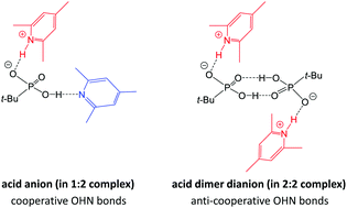 Graphical abstract: A phosphonic acid anion and acid dimer dianion stabilized by proton transfer in OHN hydrogen bonds – models of structural motifs in blend polymer membranes