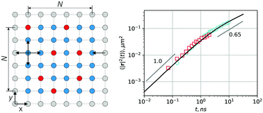 Graphical abstract: Non-Markovian diffusion of excitons in layered perovskites and transition metal dichalcogenides