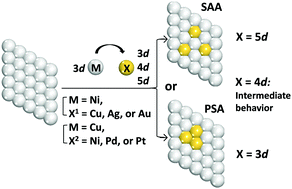 Graphical abstract: Single atom alloys vs. phase separated alloys in Cu, Ag, and Au atoms with Ni(111) and Ni, Pd, and Pt atoms with Cu(111): a theoretical exploration