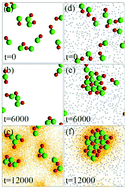 Graphical abstract: The dynamics of chemically propelled dimer motors on a pinning substrate