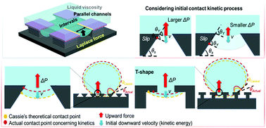 Graphical abstract: Design of robust superamphiphobic surfaces with enlarged area fractions: the considerable role of Laplace pressure in dynamics of contact lines