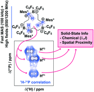 Graphical abstract: Proton-phosphorous connectivities revealed by high-resolution proton-detected solid-state NMR
