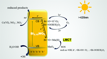 Graphical abstract: Photocatalytic oxidation of Mn(ii) on the surface of Bi2.15WO6via the ligand-to-metal charge transfer (LMCT) pathway