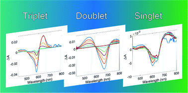 Graphical abstract: Time-resolved dynamics of stable open- and closed-shell neutral radical and oxidized tripyrrindione complexes