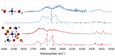 Graphical abstract: Anharmonic IR spectra of solvated ammonium and aminium ions: resemblance between water and bisulfate solvations
