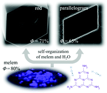 Graphical abstract: Growth and characterization of melem hydrate crystals with a hydrogen-bonded heptazine framework