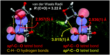 Graphical abstract: Sp2- and sp3–C⋯O tetrel bonds in the 3-oxetanone homodimer