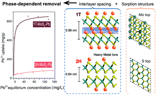 Graphical abstract: Tuning phase compositions of MoS2 nanomaterials for enhanced heavy metal removal: performance and mechanism