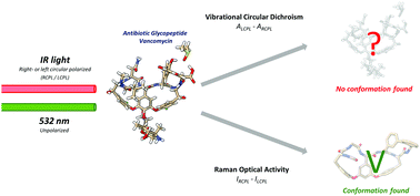 Graphical abstract: Insights in the vibrational optical activity spectra of the antibiotic vancomycin in DMSO