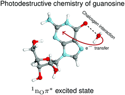 Graphical abstract: Photoinduced water–chromophore electron transfer causes formation of guanosine photodamage