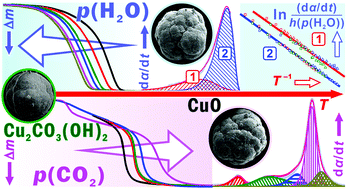 Graphical abstract: Individual effects of atmospheric water vapor and carbon dioxide on the kinetics of the thermal decomposition of granular malachite