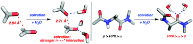 Graphical abstract: Solvation stabilizes intercarbonyl n→π* interactions and polyproline II helix