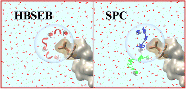 Graphical abstract: Site-specific water dynamics in the first hydration layer of an anti-freeze glyco-protein: a simulation study