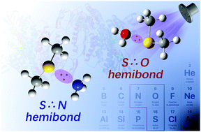 Graphical abstract: Spectroscopic evidence of S∴N and S∴O hemibonds in heterodimer cations