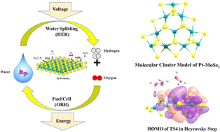 Graphical abstract: Nanostructured Pt-doped 2D MoSe2: an efficient bifunctional electrocatalyst for both hydrogen evolution and oxygen reduction reactions