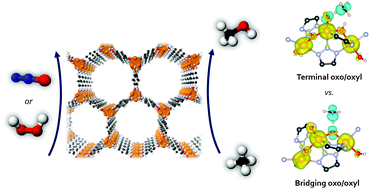 Graphical abstract: Exploring mechanistic routes for light alkane oxidation with an iron–triazolate metal–organic framework