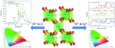 Graphical abstract: Tailoring defect structure and dopant composition and the generation of various color characteristics in Eu3+ and Tb3+ doped MgF2 phosphors