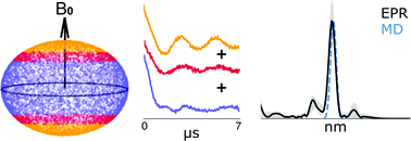 Graphical abstract: An optimal acquisition scheme for Q-band EPR distance measurements using Cu2+-based protein labels