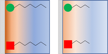 Graphical abstract: Cation structure-dependence of the induced free charge density gradient in imidazolium and pyrrolidinium ionic liquids