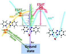 Graphical abstract: A combined experimental and computational study on the deactivation of a photo-excited 2,2′-pyridylbenzimidazole–water complex via excited-state proton transfer