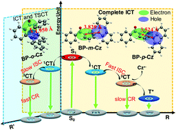 Graphical abstract: Ultrafast study of substituted-position-dependent excited-state evolution in benzophenone-carbazole dyads