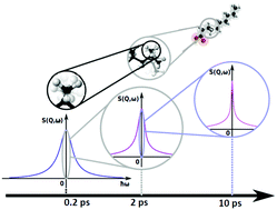 Graphical abstract: High temperature molecular motions within a model protomembrane architecture