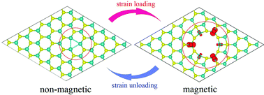 Graphical abstract: Strain induced magnetic hysteresis in MoS2 and WS2 monolayers with symmetric double sulfur vacancy defects