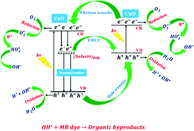 Graphical abstract: Synergistic influence of FRET, bulk recombination centers, and charge separation in enhancing the visible-light-driven photocatalytic activity of Cu2+-ion-doped ZnO nanoflowers