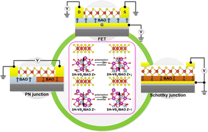 Graphical abstract: Remarkable ferroelectricity-modulated electronic and magnetic properties in a 2H-VS2/BiAlO3(0001) hybrid system