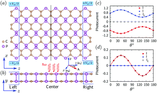 Graphical abstract: Carbon phosphide nanoribbons with spatial inversion symmetry: robust generators of pure spin current with a photogalvanic effect
