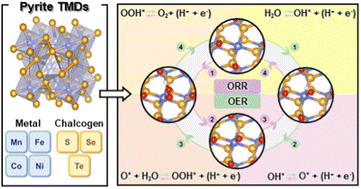 Graphical abstract: Catalytic activity trends of pyrite transition metal dichalcogenides for oxygen reduction and evolution