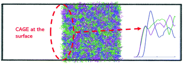 Graphical abstract: Long-ranged heterogeneous structure in aqueous solutions of the deep eutectic solvent choline and geranate at the liquid–vapor interface