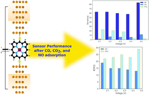 Graphical abstract: Highly efficient metalloporphyrin-based nanosensors for NO detection