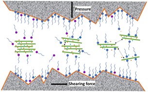 Graphical abstract: Tribochemical synergy between phosphate-intercalated layered double hydroxide additives and super high oleic safflower oil on sliding contacts