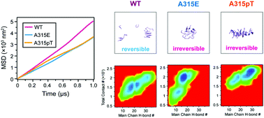 Graphical abstract: ALS-associated A315E and A315pT variants exhibit distinct mechanisms in inducing irreversible aggregation of TDP-43312–317 peptides