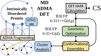 Graphical abstract: Improving IDP theoretical chemical shift accuracy and efficiency through a combined MD/ADMA/DFT and machine learning approach