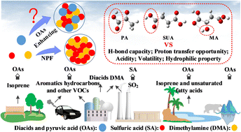 Graphical abstract: Sulfuric acid–dimethylamine particle formation enhanced by functional organic acids: an integrated experimental and theoretical study