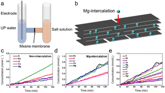 Graphical abstract: Enhanced ion transport in nanochannels of MXenes by Mg2+ pre-intercalation