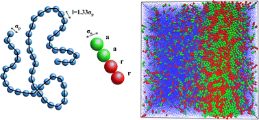 Graphical abstract: Polymer-mediated self-assembly, dispersion, and phase separation of Janus nanorods