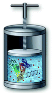 Graphical abstract: Deep sea osmolytes in action: their effect on protein–ligand binding under high pressure stress