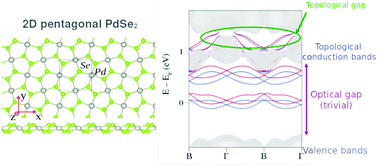 Graphical abstract: Topological bands in the PdSe2 pentagonal monolayer