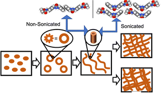 Graphical abstract: Structural insights into self-assembly of a slow-evolving and mechanically robust supramolecular gel via time-resolved small-angle neutron scattering
