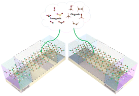 Graphical abstract: High gas sensing performance of inorganic and organic molecule sensing devices based on the BC3N2 monolayer