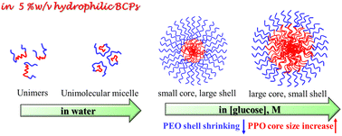 Graphical abstract: Glucose-induced self-assembly and phase separation in hydrophilic triblock copolymers and the governing mechanism