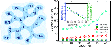 Graphical abstract: Water dynamics in the hydration shell of hyper-branched poly-ethylenimine