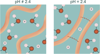 Graphical abstract: Observation of dissipating solvated protons upon hydrogel formation