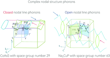 Graphical abstract: Complex nodal structure phonons formed by open and closed nodal lines in CoAsS and Na2CuP solids