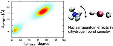 Graphical abstract: A path integral molecular dynamics study on the NH4+ rotation in NH4+⋯XH2 (X = Be or Mg) dihydrogen bond systems