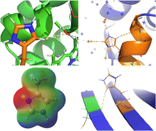 Graphical abstract: Newly identified C–H⋯O hydrogen bond in histidine