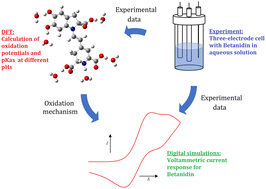 Graphical abstract: Study of the electrochemical betanidin oxidation path using computational methods